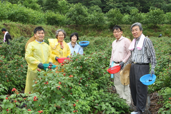 정읍시의회의원 농촌일손돕기실시